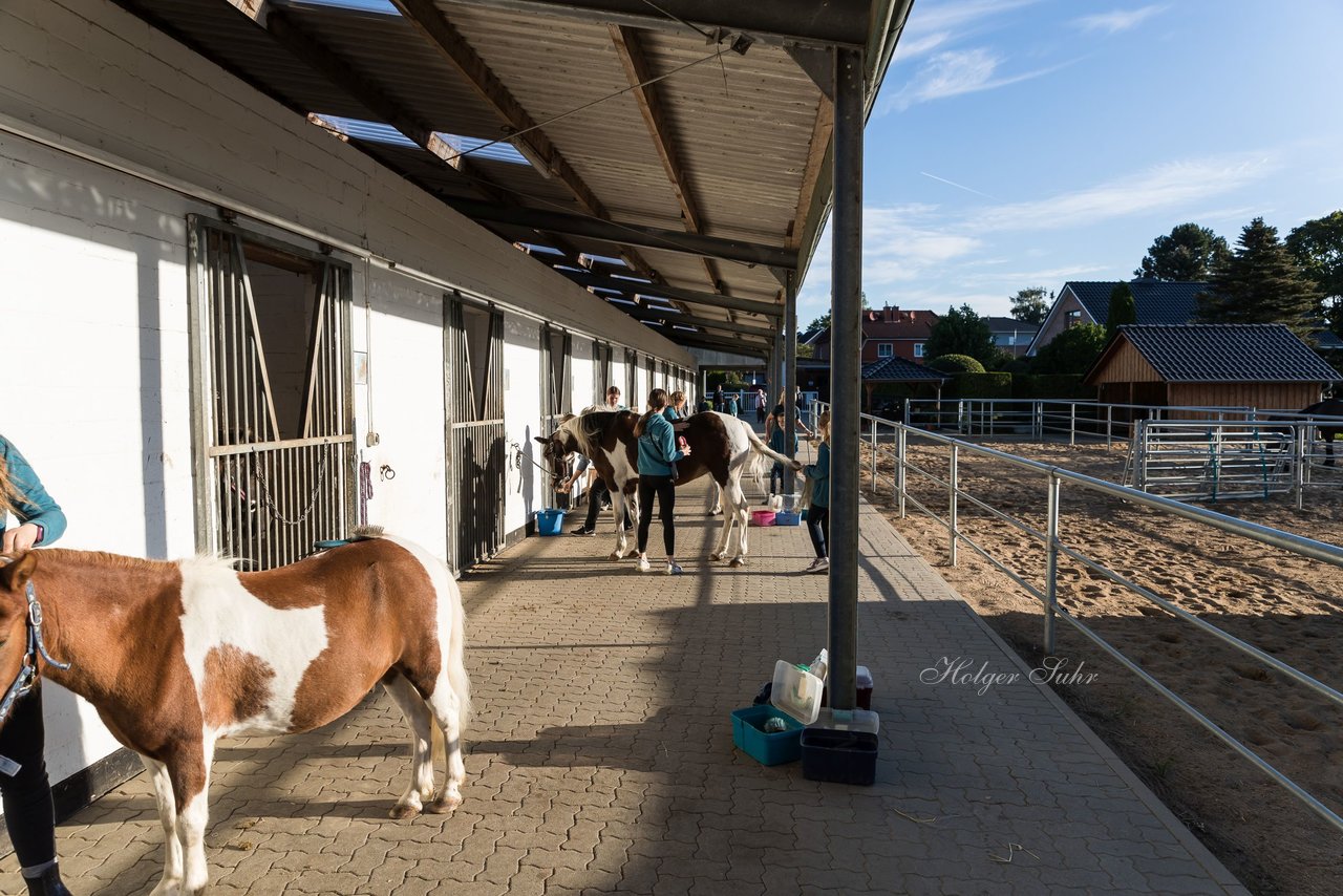 Bild 3 - Pony Akademie Turnier